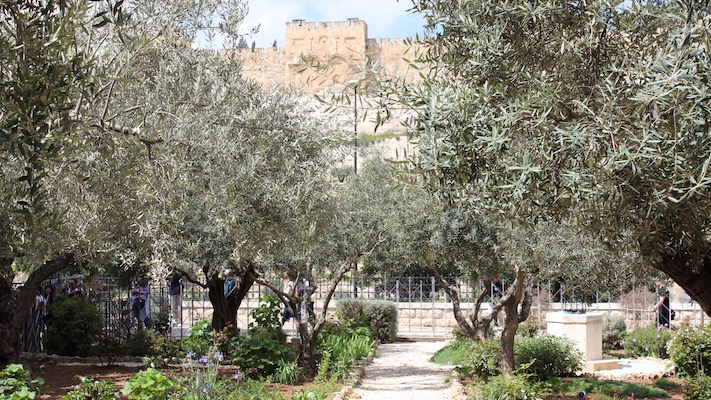 Getsemane